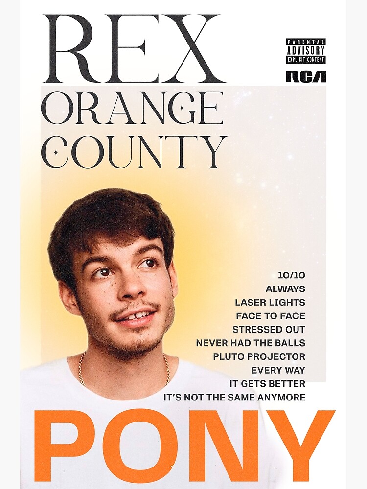 artwork Offical Rex Orange County Merch