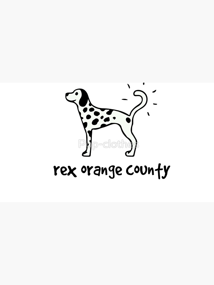 artwork Offical Rex Orange County Merch