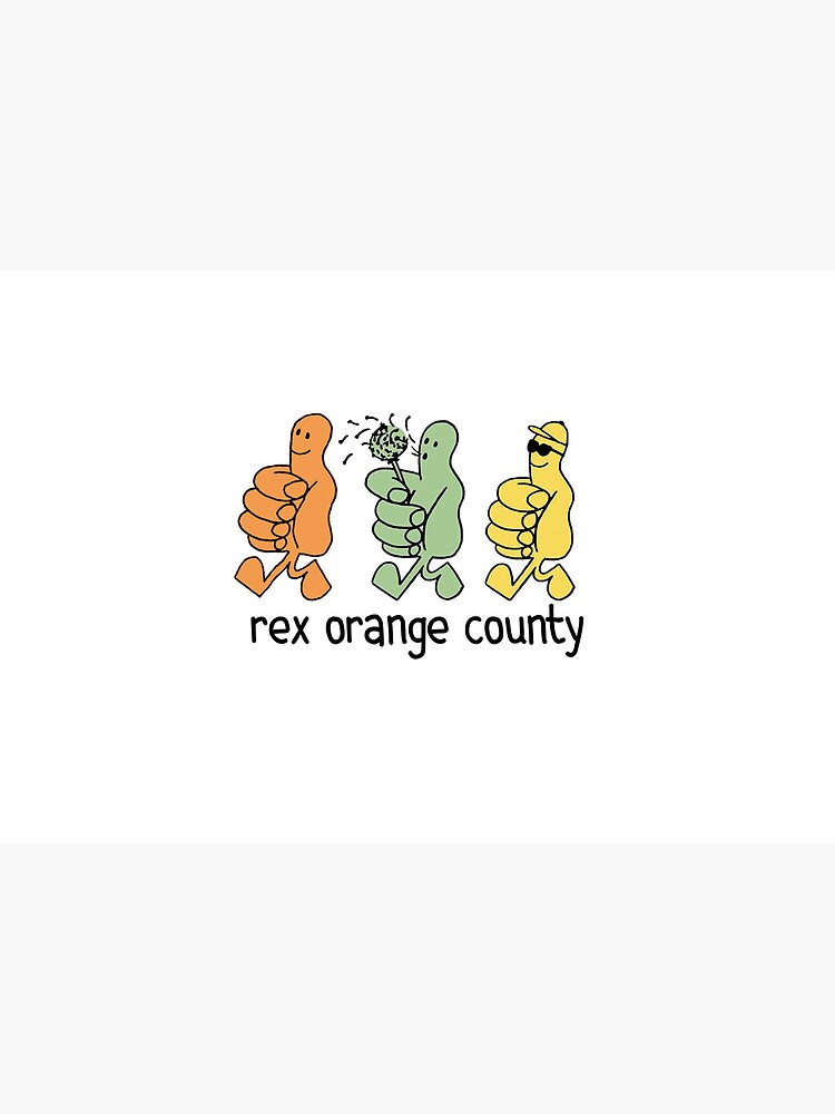  artwork Offical Rex Orange County Merch