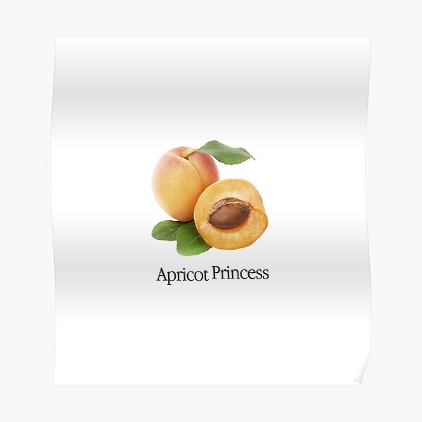 Apricot Princess Rex Orange County Poster RB2307 product Offical Rex Orange County Merch