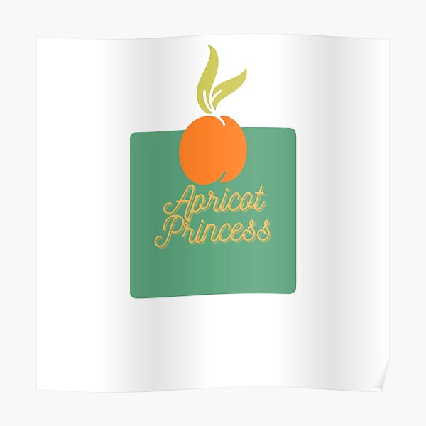 Rex Orange County Apricot Princess Poster RB2307 product Offical Rex Orange County Merch