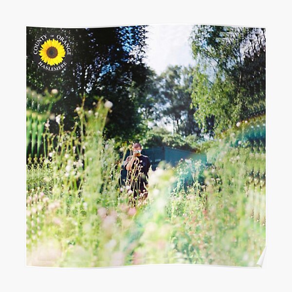 Rex Orange County - Sunflower Album Cover Poster RB2307 product Offical Rex Orange County Merch