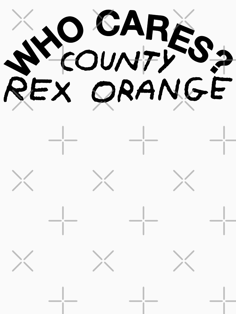  artwork Offical Rex Orange County Merch