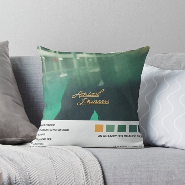 Rex Orange County Album Cover Throw Pillow RB2307 product Offical Rex Orange County Merch